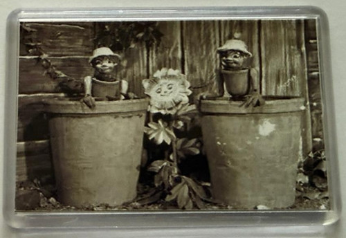 The flower pot - flower, story