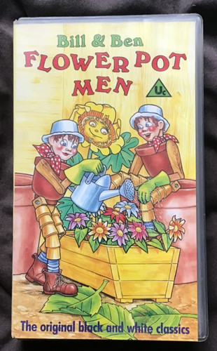 Bill and ben flower - bill,