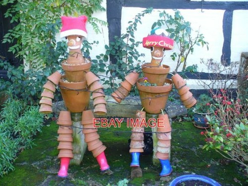 Photo gone pot - , in